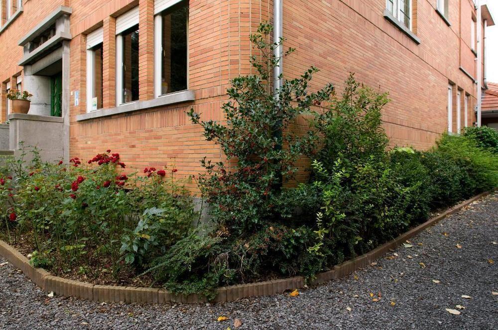 Hotel - B&B Elementum Cortrique Exterior foto